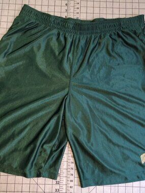 Pro Edge Oregon Ducks mesh athletic shorts in green and white